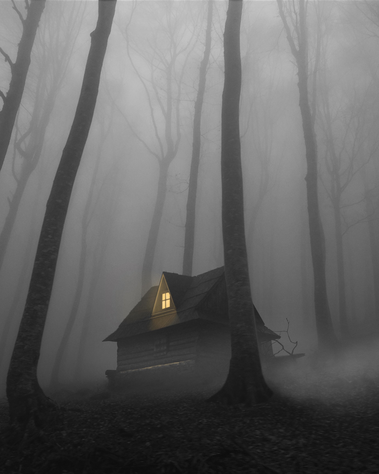 mysterious-scene-with-house-forest